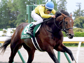 【競馬予想】伏兵の台頭が頻繁に見られる関屋記念　穴党記者が目をつけた激走候補２頭