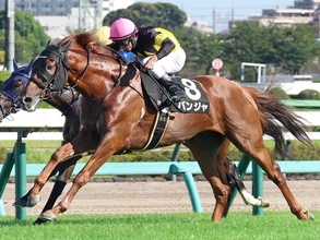 【競馬予想】オールカマー、レガレイラの連覇に黄信号　道悪馬場で浮上する伏兵２頭が好配当をもたらす
