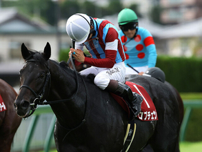 【競馬予想】菊花賞で３冠がかかるロブチェンに不安はある？　血統から快挙阻止の対抗馬をピックアップ