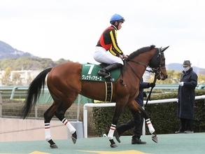 高松宮記念は200万円超えの高額配当が続出中 人気落ち必至の実力馬２頭の大駆けに要注意