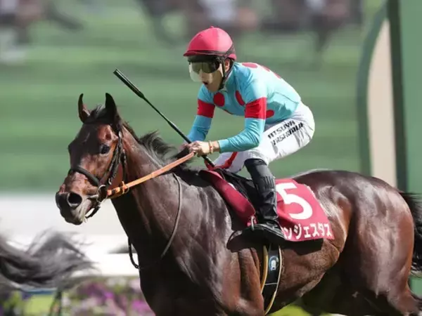 【競馬予想】日本ダービーを勝つには「運」が重要　それを体感したジョッキーが指名する本命馬と伏兵候補