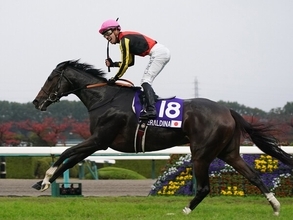 宝塚記念は５歳牝馬の２頭が推し 2200ｍのスペシャリスト、レースと縁深い「格下馬」に注目