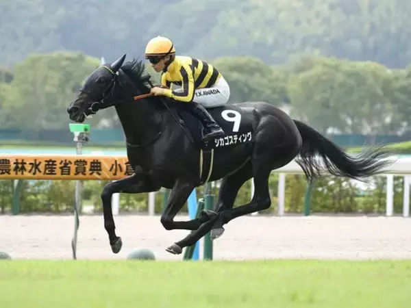 阪神JFは荒れる予感...穴党記者は過去３年で躍動した馬とはレースぶりが異なる２頭に注目