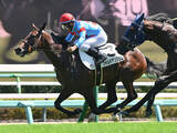 「【競馬予想】日本ダービーは「２強」が中心も、展開次第では決め手ある伏兵が高配当を演出か　「面白い馬が２頭いる」」の画像1