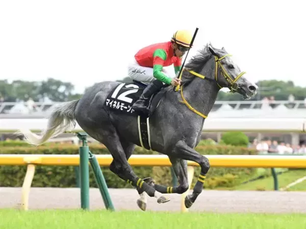 【競馬予想】七夕賞は舞台合う伏兵２頭が高額配当を演出か　人気の有力馬には嫌なデータあり