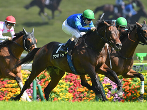 【競馬予想】ハンデ戦となった関屋記念は波乱含み　激走ムード漂うのは「勢いのある上がり馬」