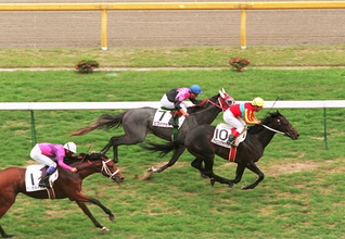 『ウマ娘』でも描かれるダービー制覇への執念　ベテラン騎手の懸命な思いに応えたウイニングチケットの激走