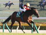「【競馬予想】宝塚記念は舞台合うミュージアムマイルが最有力　同じく好走条件がハマる伏兵にも一発の期待」の画像1