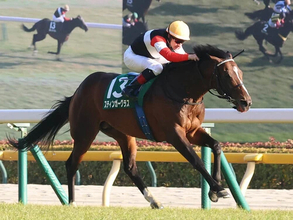 【競馬予想】宝塚記念は舞台合うミュージアムマイルが最有力　同じく好走条件がハマる伏兵にも一発の期待