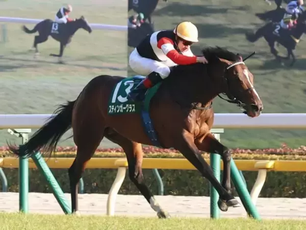 【競馬予想】宝塚記念は舞台合うミュージアムマイルが最有力　同じく好走条件がハマる伏兵にも一発の期待