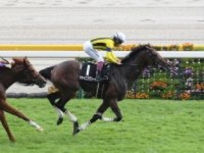 【競馬予想】日経新春杯は伸び盛りの明け４歳馬が有力も、遅咲きの良血馬にも要注意！