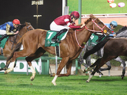 【競馬予想】天皇賞・春でクロワデュノールを脅かす存在はいるか　スタミナ秘める伏兵２頭が不気味