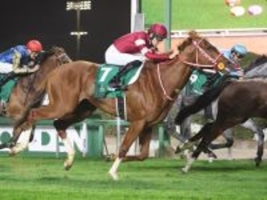 【競馬予想】天皇賞・春でクロワデュノールを脅かす存在はいるか　スタミナ秘める伏兵２頭が不気味