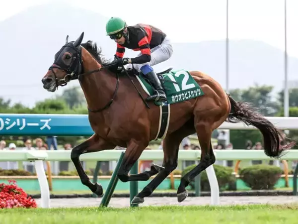 【競馬予想】天皇賞・秋は勢いある３歳馬が有力も、ここが大目標の５歳馬の躍進にも要注意