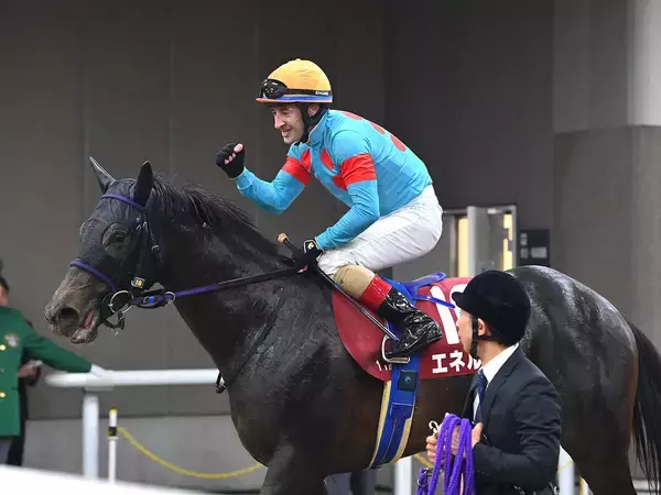 【競馬予想】菊花賞で注目すべき血統は？　騎手も踏まえ、ニュースター誕生が期待できる２頭をチェック