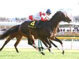 「【競馬予想】ＧⅠ馬５頭が集結した新潟記念　極限の末脚の持ち主が豪華メンバーにひと泡吹かす」の画像1