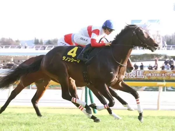 【競馬予想】ＧⅠ馬５頭が集結した新潟記念　極限の末脚の持ち主が豪華メンバーにひと泡吹かす