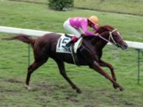 ウマ娘でも「サイボーグ」と呼ばれるミホノブルボン　最高峰の舞台でその真髄を存分に示した