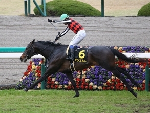 「無敗の２億7000万円馬」が皐月賞に挑む。芝コースは２戦目も、「日本を代表する名牝系」の血は信頼度抜群