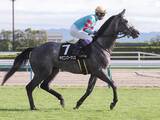 「【競馬予想】「とにかく荒れる」七夕賞　先行勢に有力馬がそろうなか、機動力秘めた４歳馬の一発に要注意」の画像1