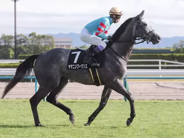 【競馬予想】「とにかく荒れる」七夕賞　先行勢に有力馬がそろうなか、機動力秘めた４歳馬の一発に要注意