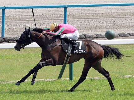 【競馬予想】オークスは「縁のある血統」から２頭に期待　本命は、2014年にレースを制した母と枠番も同じ２勝馬