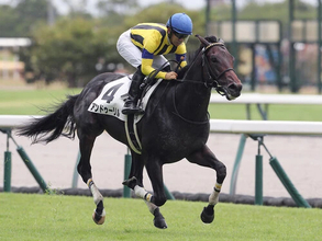 【競馬予想】確たる主役不在の「２歳牡馬ランキング」　混戦を抜け出す有力候補は？