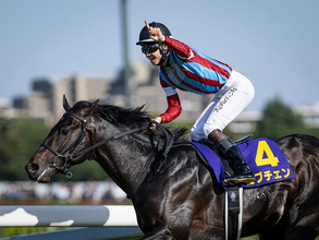 【競馬予想】日本ダービーの行方を占う「３歳牡馬ランキング」　ロブチェンを脅かす存在はいるか