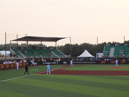 中東初のプロ野球リーグが描く奇想天外な新たな野球　ラクダで入場、マネーボール、ファイアーボール...