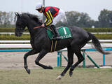 「【競馬予想】豪華メンバーがしのぎを削る新潟記念　人気薄の実力派２頭が好配当を演出か」の画像1