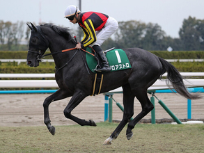 【競馬予想】豪華メンバーがしのぎを削る新潟記念　人気薄の実力派２頭が好配当を演出か