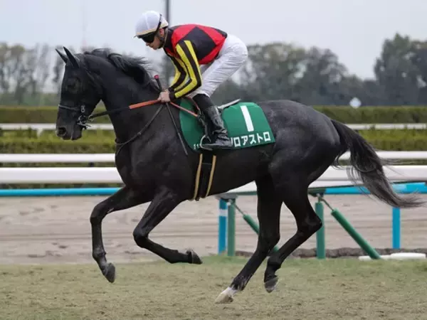 【競馬予想】豪華メンバーがしのぎを削る新潟記念　人気薄の実力派２頭が好配当を演出か
