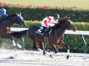 【競馬予想】好メンバーが集結した根岸Ｓでも、注目すべきは年明けの重賞戦線で躍動する明け４歳馬