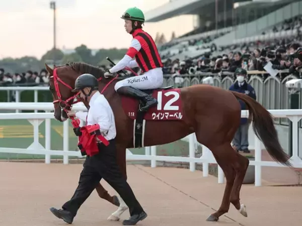 【競馬予想】高速決着が予想されるスワンＳで狙える２頭　重視すべきはマイル戦より1200ｍ、1400ｍ戦での実績