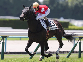 【競馬予想】菊花賞、現場で高まる「打倒ロブチェン」の声　未知の3000ｍで激走しそうな大穴２頭