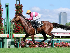 【競馬予想】「スーパーＧⅡ」札幌記念は実績馬に死角あり　気鋭の人馬が大仕事を果たす