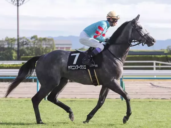 【競馬予想】混戦模様の菊花賞は「長距離戦は騎手で買え」の格言に従うべし　レジェンドたちの手腕が再び唸る