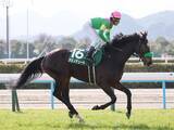 「【競馬予想】天皇賞・春はクロワデュノールが断然も、「決め手ある」伏兵の一発にも注意せよ」の画像1