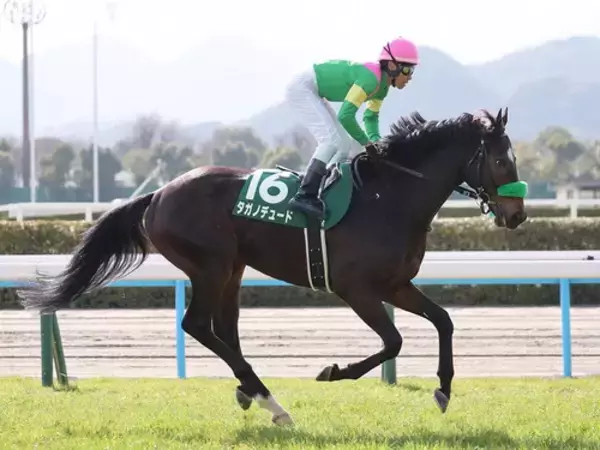 【競馬予想】天皇賞・春はクロワデュノールが断然も、「決め手ある」伏兵の一発にも注意せよ