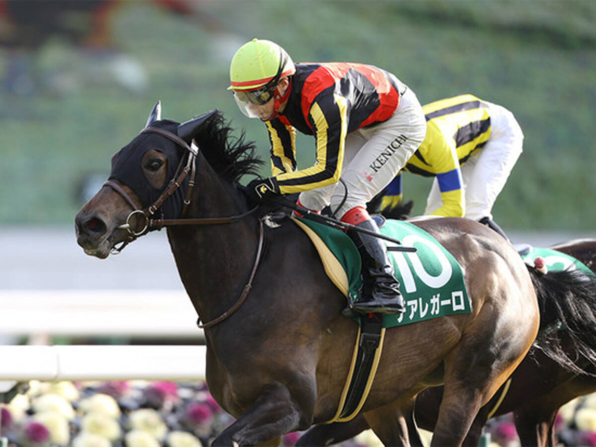 手堅いキーンランドｃだが 過去の穴パターンに類似の５頭で好配狙い 2019年8月23日 エキサイトニュース