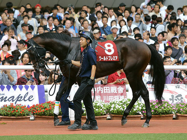 菊花賞に強いディープインパクト産駒 人気薄でも好走に期待大 19年10月17日 エキサイトニュース