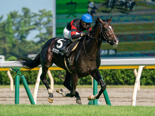 横山ルリカが菊花賞の有力馬４頭を予想 気になる穴馬候補とは 年10月23日 エキサイトニュース