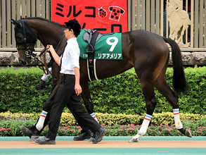 阪神ＪＦは「スター候補」が本命。良血馬が強いレースで血統も万全だ