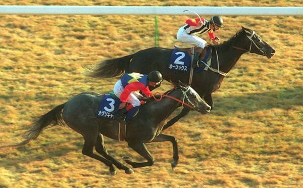 ジャパンｃで思い出すオグリキャップの雄姿 美しい２着 にファンが感涙 年11月24日 エキサイトニュース