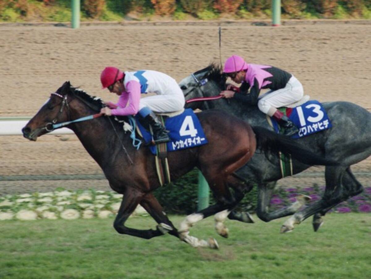 有馬記念で史上最高の復活劇 トウカイテイオーが起こした奇跡に感涙 年12月22日 エキサイトニュース