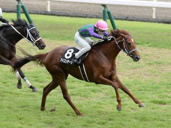 ローズｓの馬券のサインとは 同じ花の名前か はたまた世間を騒がす総裁選か 21年9月19日 エキサイトニュース