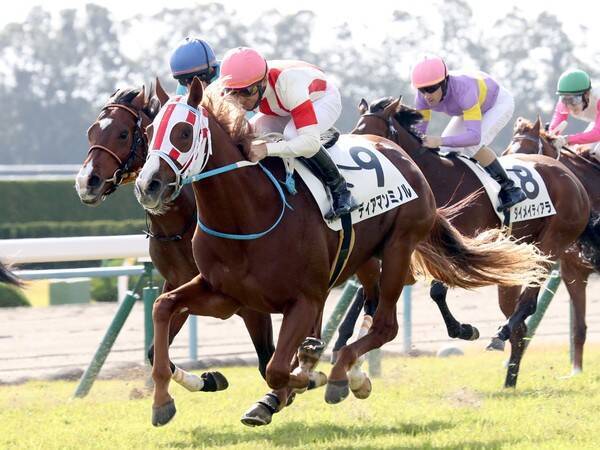 今年の京都大賞典は 阪神 芝2400ｍ のコース実績と血統で３頭をピックアップ 2021年10月8日 エキサイトニュース