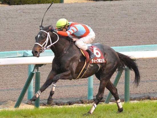 有馬記念の激走候補２頭 穴党記者が今の中山の馬場に ぴったり と激推し 21年12月23日 エキサイトニュース 3 3