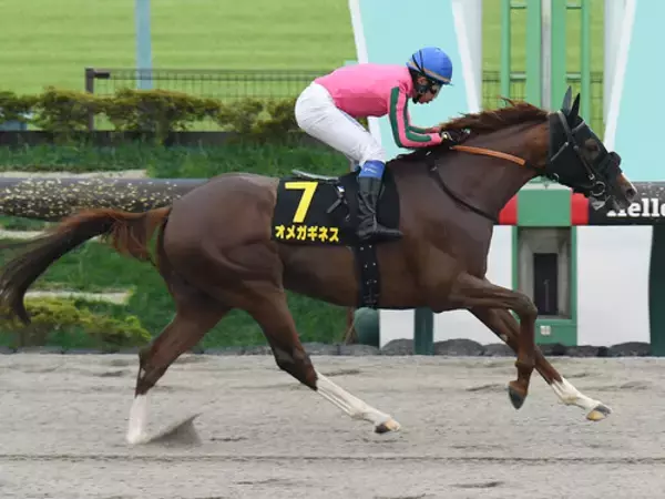 【競馬予想】群雄割拠のフェブラリーＳ　国内ダート頂上決戦に備えてきた実力馬たちを脅かす伏兵候補