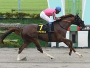 【競馬予想】群雄割拠のフェブラリーＳ　国内ダート頂上決戦に備えてきた実力馬たちを脅かす伏兵候補